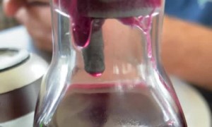 Something Found Swimming in Restaurant Vinegar