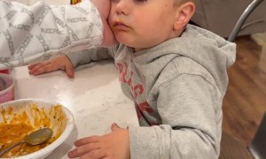 Kiddo Struggling to Stay Awake After Thanksgiving Dinner