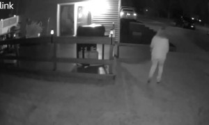 Woman Stumbles Searching for Dog in the Dark