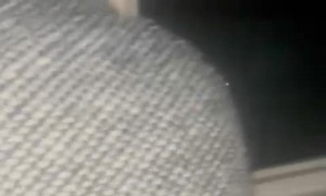 Pranking Kids With Fake Police Siren