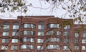 Crows Leave a Gift for their Friend