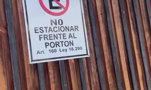 Dog Watches Neighborhood From Fence