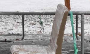 Boxer Pup Plays on Snowy Trampoline