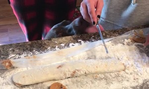 Dog Licks Flour off Edge of Countertop