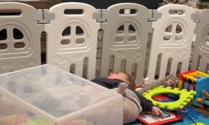 Wild Child Playing in Playpen Tumbles off Plastic Box
