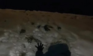 Woman Falls in Snow Walking Home From Christmas Party