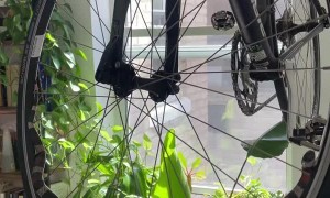 Corn Snake Wraps Itself Throughout Bike Tire