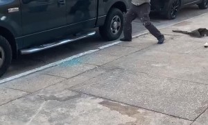 Man Smashes Truck Windows With Shovel