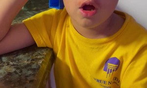 Son Is Tired of The Same Food