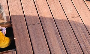 Cat Becomes Electrician's Helper