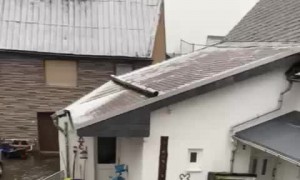 Guy Slides Down Entire Icy Road
