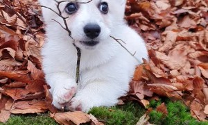 Baby Ebbe With His Baby Tree