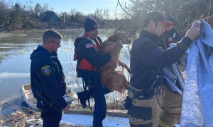 Oklahoma City firefighters help rescue dog from frozen pond