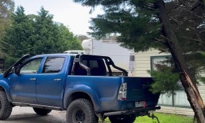 Pickup Pulls Tree Down Onto Itself