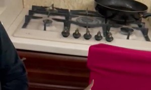 Small Dog Doesn't Want to Share Big Christmas Bone