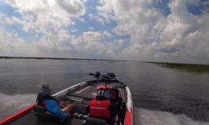 Close Call With Heron