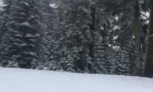 Son Gets Knocked Down by Tuber