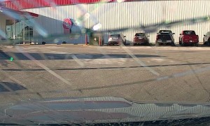 Deer Runs Into Man Driving Along Outer Road