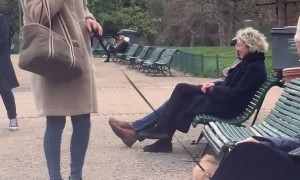 Dog Jumps on Random Person