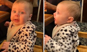 Baby's hilarious reaction to chef's fire at hibachi restaurant