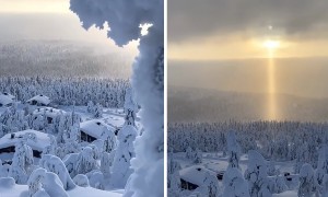 Mesmerizing light pillar illuminates cold skies of Finland
