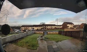 Woman Falls on Slippery Walkway