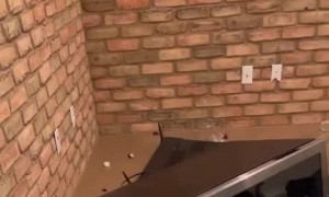 Aftermath of Home Being Destroyed by Alcoholic Partner