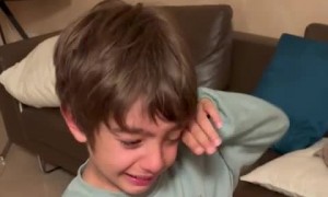 A Boy And His New Kitten