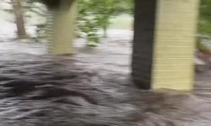 Couple Caught in the Middle of a Hurricane at Home