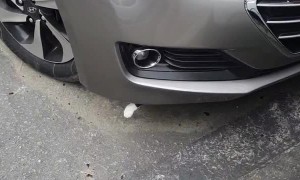Lost Kitten Found Hiding Inside Car