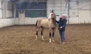 These Invisible Halters Work Pretty Well