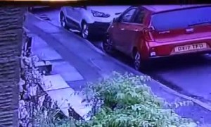 Plumber Falls From Ladder