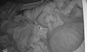 Toddler and Cat Take an Adorable Nap Together