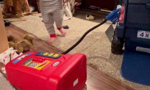 These Gas Prices Have Little Man Stressed