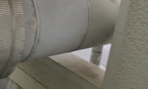 Man Is Very Excited to Have His First Owl Encounter