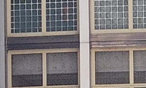 When Your Neighbor's a Federal Prison