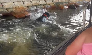 Hunting Iguanas in South Florida