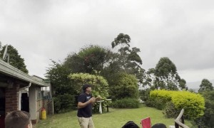 Feeding the Kites in the Backyard