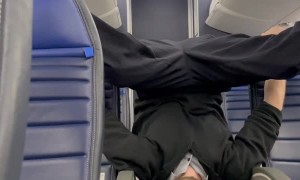 Flight Attendant Caught In Bat Form