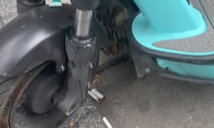 Scooter Cat Says Good Morning