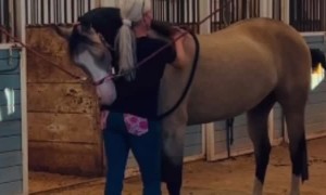 The Feeling Is Mutual