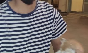 Kitten Rescued and Reunited with Mom