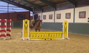 Girl Falls From Horse During Showjumping Training