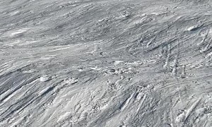 Puppy Goes Downhill With Human Sled