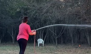 Burning Brush in the Backyard