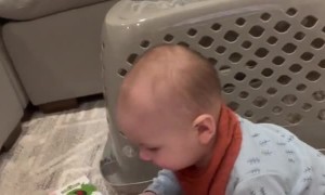 The Joys Of Motherhood