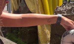 The Great Kitten Rescue