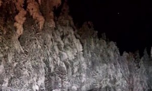 Moose Climbs Through Snow to Cross the Road