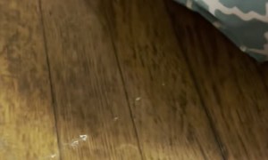 Hamantha, What's in Your Cheeks?