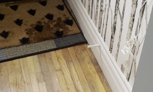Delightful Dog Plays With Doorstop